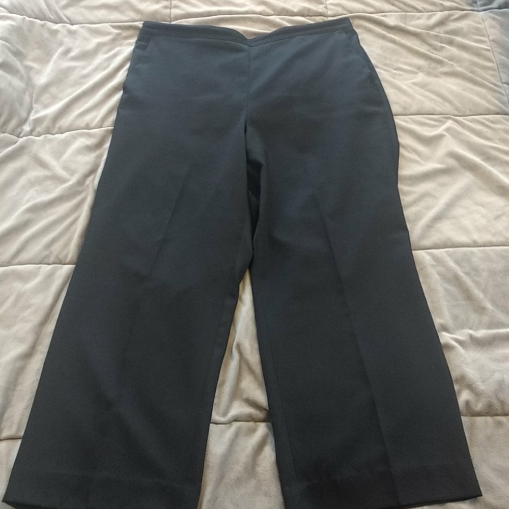 Women's Petite Alfred Dunner Pants